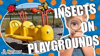 Insects Found On A Playground