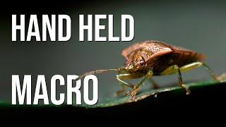 Gentle woodland macro photography easy handheld flash lighting tutorial