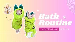 Sharing my bath routine for my hairless cats