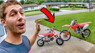 DIRT BIKE VS PIT BIKE Which Do I Prefer?