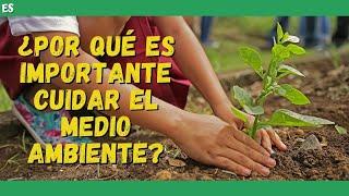 ¿Por qué es importante CUIDAR EL MEDIO AMBIENTE? VIDEO EDUCATIVO 