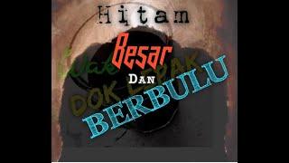 Apa tu....?? HITAM....BESAR.....BERBULU LEBAT Seraaaaam Dok