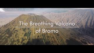 The Breathing Volcano of Bromo