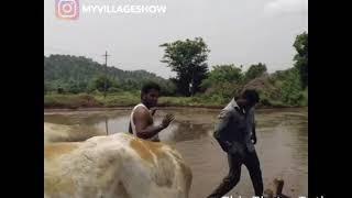 Best Ever KiKi Challenge Indian Farmers with Cows August 2018