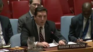 Представитель России в Совете Безопасности ООН