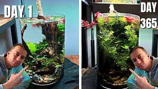 HOW TO NO FILTER VASE AQUARIUM - 5 TIPS FOR GUARANTEED SUCCESS