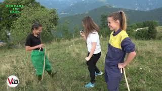 Giovani in Erba - Malga Molvine a Valdobbiadene TV - Azienda Agricola Vanzin Miriam