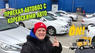 НОВАЯ ПАРТИЯ КОРЕЙСКИХ АВТО SONATA AVANTE K5 ПОД КЛЮЧ ОТ 7000$