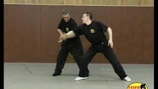 №11 #FISFO #Pencak_Silat #CharlesJoussotSystems