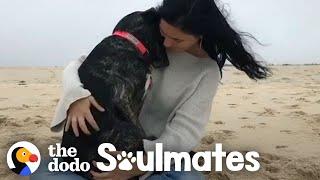 Woman Meets Her Soul Dog On Vacation  The Dodo Soulmates