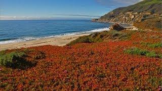 The California Coast w Music 1 HR HEALING Nature Relaxation Video w Music  1080p