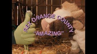 Rex Orange County - AMAZING Official Video