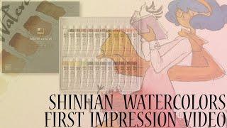 FIRST IMPRESSION  Shinhan Professional Watercolors