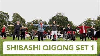 Shibashi Qigong Set1 display in Sandford Park Cheltenham UK