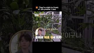 Yeonjun learned more about Fu Bao ️ #choiyeonjun #yeonjun #txt #tiktokvideos #panda #bighit #kpop