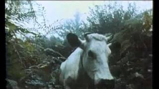 Trailer de Vacas Julio Medem 1992