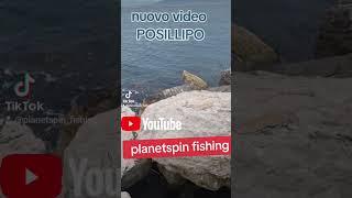 pesca spinning Posillipo #pesca #fishing  #posillipo