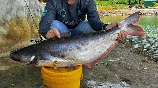 Teknik Mancing di kolam basic