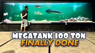 AKHIRNYA SEMUA IKAN MONSTER MASUK MEGATANK 100TON