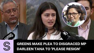 Please resign Greens make public plea to disgraced MP Darleen Tana  Stuff.co.nz