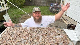 THOUSANDS of SHRIMP by hand net  {Catch Clean and Cook}