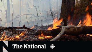 Alberta wildfire season starts early
