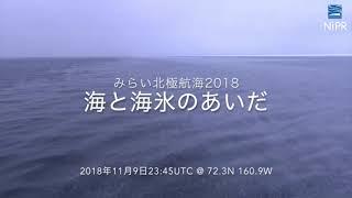 【極地研公式】#56 海と海氷のあいだ（極地研探検2021 オンライン展示）