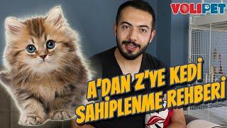 KEDİ SAHİPLECEKLERİN BİLMESİ GEREKENLER Kedi Bakımı Mama Tüy Dökmesi Kedi Aşıları