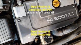 Opel Vectra B Limpieza EGR