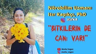 Bitkilerin de Canı Var Doğru Olabilir mi? Nörobilim Uzmanı Dr. Itır Kaşıkçıyla konuşuyoruz