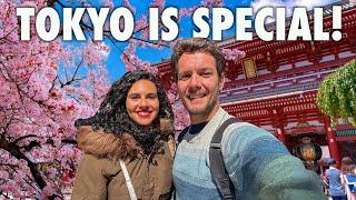 A DAY IN TOKYO  JAPAN  WHAT TO EXPECT