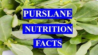 PURSLANE - HEALTH BENEFITS AND NUTRITION FACTS