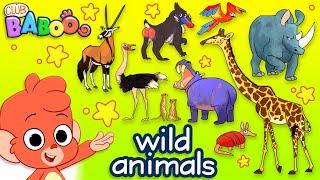 Learn Wild Animals For Kids  Wild Zoo Animals Names and Sounds for Children  Club Baboo