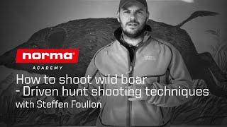 How to shoot wild boar – Driven hunt shooting techniques  Norma Academy