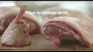 Lamb Cuts And How To Choose Them  Good Housekeeping UK