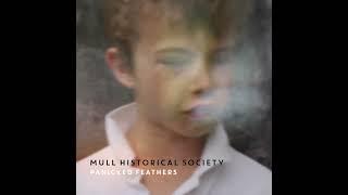 MULL HISTORICAL SOCIETY IN MY MIND THERES A ROOM ALBUM TRAILER OUT NOW
