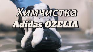 Матвей Чистит ADIDAS OZELIA.