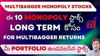 MULTIBAGGER Monopoly Stocks Top 10 Monopoly Stocks For Long Term More Than 60% Market Share Stocks