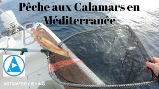 Pêche aux Calamars en Méditerranée