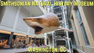 Smithsonian Natural History Museum Tour - Washington DC