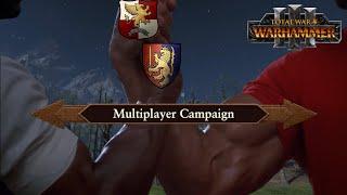 How it Feels Starting a Co-op Campaign in Total War Warhammer 3