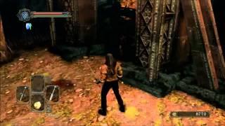 Dark Souls 2 Beta - Dual Swordsman Gameplay