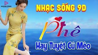 Nhạc Sống Thôn Quê Mẫu Xinh 1m75 Mới Ra Lò PHÊ SỞN DA GÀ.Mở MAX VOLUME Nghe Phê Nhức Cái Lách