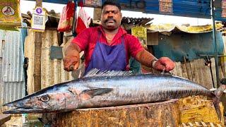 KASIMEDU  SPEED SELVAM  BIG SIZE ARA KOLA FISH CUTTING VIDEO  IN KASIMEDU  FF CUTTING 