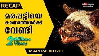 Recap Vava suresh takes on a Palm Civet  Snakemaster Short Video