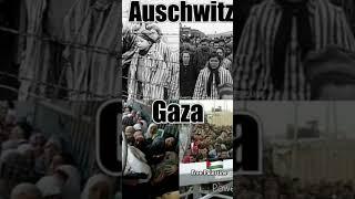 Free Palestine  Gaza  Song Nasheed Gedicht