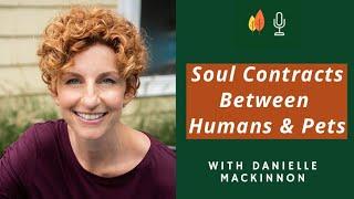 Soul Contracts Between Humans and Their Pets with Danielle MacKinnon  EOLU Podcast