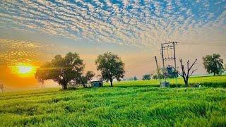 farmer WhatsApp Status farmer Song Status  WhatsApp Status  #Shorts#Status