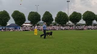 Korbach Hessentag Polizei Vereidigung 27.05.2018 5