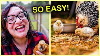 How to Get a Hen to Raise Baby Chicks 